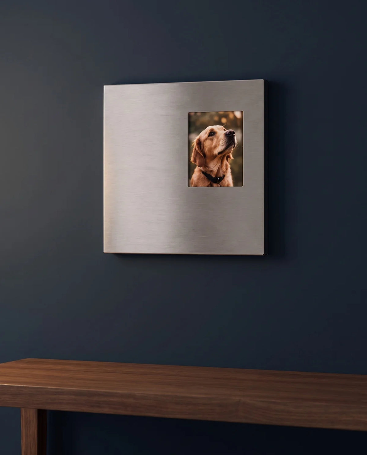 Ferrani Mono Frame in brushed stainless steel with a dog portrait, mounted on a dark blue wall above a wooden bench.